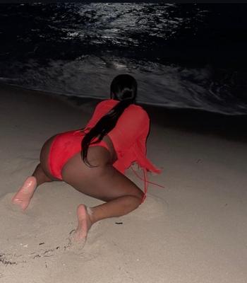 Amina, 24  female escort, Detroit