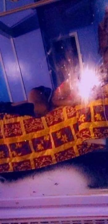 3133648665, female escort, Detroit