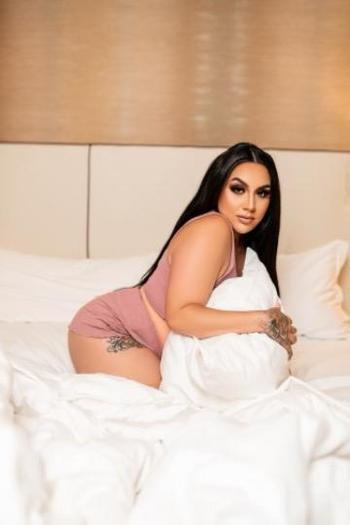 3135866105, female escort, Detroit